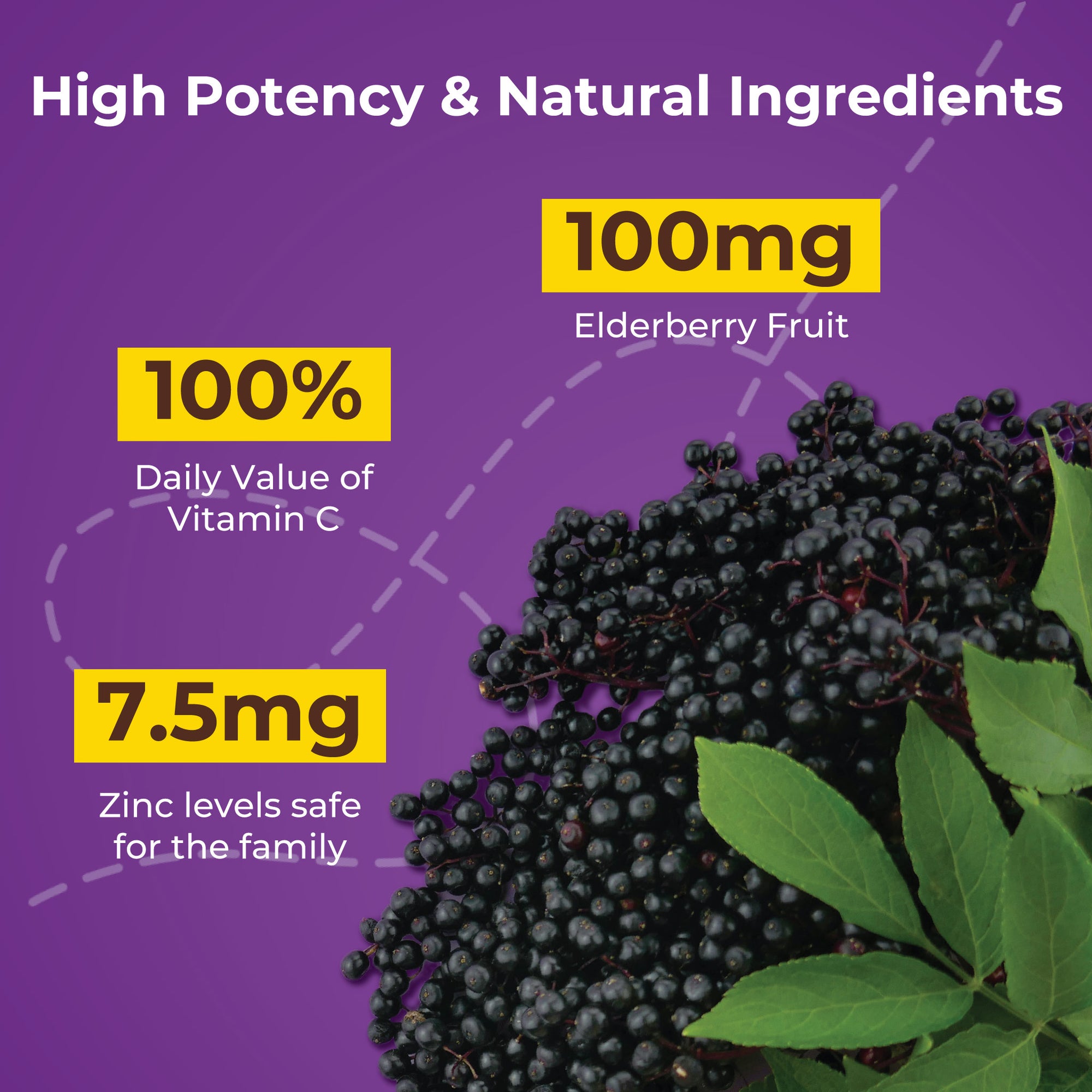 Immune Elderberry Gummies